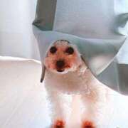 ヒメ日記 2026/02/26 13:06 投稿 せいか♪ プリティーガール