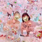 ヒメ日記 2026/03/17 11:32 投稿 せいか♪ プリティーガール