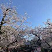 ヒメ日記 2026/04/09 05:25 投稿 せいか♪ プリティーガール