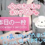 ヒメ日記 2024/05/18 16:08 投稿 れいの 静岡駅前ちゃんこ