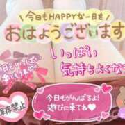 ヒメ日記 2024/05/19 09:48 投稿 れいの 静岡駅前ちゃんこ