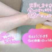 ヒメ日記 2024/07/13 09:58 投稿 れいの 静岡駅前ちゃんこ