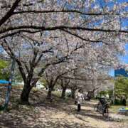 ヒメ日記 2026/04/08 14:18 投稿 あやの 奥鉄オクテツ大阪