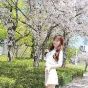 ヒメ日記 2026/04/13 07:39 投稿 あやの 奥鉄オクテツ大阪