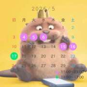 ヒメ日記 2026/05/02 19:11 投稿 あかり 和楽(わらく)