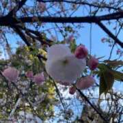 ヒメ日記 2026/03/14 12:52 投稿 亜子（あこ）☆☆☆☆ Miss&Mrs(ミス＆ミセス)