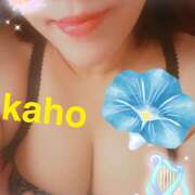 ヒメ日記 2025/09/01 10:41 投稿 桐生 花帆 エレガンス(福島)