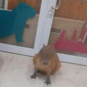 ヒメ日記 2025/09/07 09:22 投稿 おと 逢って30秒で即尺