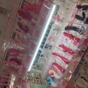 ヒメ日記 2025/10/13 09:20 投稿 おと 逢って30秒で即尺