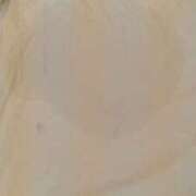 ヒメ日記 2026/03/09 09:15 投稿 おと 逢って30秒で即尺