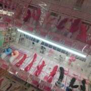 ヒメ日記 2026/03/19 22:44 投稿 おと 逢って30秒で即尺