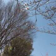 ヒメ日記 2026/03/21 10:14 投稿 おと 逢って30秒で即尺