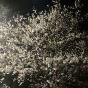 ヒメ日記 2026/03/28 09:30 投稿 おと 逢って30秒で即尺