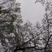 ヒメ日記 2026/04/05 13:09 投稿 おと 逢って30秒で即尺