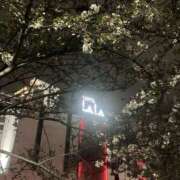 ヒメ日記 2026/04/08 21:34 投稿 おと 逢って30秒で即尺