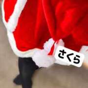 ヒメ日記 2024/12/14 16:29 投稿 さくら☆山梨トップクラス人気嬢 ぽちゃぶらんか甲府店(カサブランカグループ)