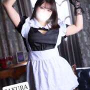 ヒメ日記 2024/12/29 17:05 投稿 さくら☆山梨トップクラス人気嬢 ぽちゃぶらんか甲府店(カサブランカグループ)