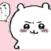 ヒメ日記 2024/12/31 13:36 投稿 さくら☆山梨トップクラス人気嬢 ぽちゃぶらんか甲府店(カサブランカグループ)