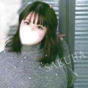 ヒメ日記 2025/02/21 02:58 投稿 さくら☆山梨トップクラス人気嬢 ぽちゃぶらんか甲府店(カサブランカグループ)