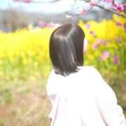 ヒメ日記 2025/02/28 16:01 投稿 さくら☆山梨トップクラス人気嬢 ぽちゃぶらんか甲府店(カサブランカグループ)