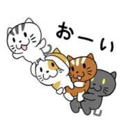 ヒメ日記 2025/03/02 00:07 投稿 さくら☆山梨トップクラス人気嬢 ぽちゃぶらんか甲府店(カサブランカグループ)