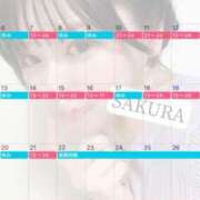 ヒメ日記 2025/03/15 20:29 投稿 さくら☆山梨トップクラス人気嬢 ぽちゃぶらんか甲府店(カサブランカグループ)