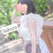 ヒメ日記 2025/03/19 11:01 投稿 さくら☆山梨トップクラス人気嬢 ぽちゃぶらんか甲府店(カサブランカグループ)