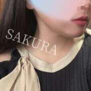 ヒメ日記 2025/03/21 17:13 投稿 さくら☆山梨トップクラス人気嬢 ぽちゃぶらんか甲府店(カサブランカグループ)