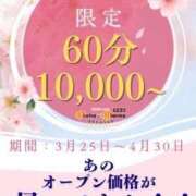 ヒメ日記 2025/03/25 06:31 投稿 さくら☆山梨トップクラス人気嬢 ぽちゃぶらんか甲府店(カサブランカグループ)