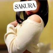 ヒメ日記 2025/04/06 11:01 投稿 さくら☆山梨トップクラス人気嬢 ぽちゃぶらんか甲府店(カサブランカグループ)