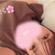 ヒメ日記 2025/04/10 11:31 投稿 さくら☆山梨トップクラス人気嬢 ぽちゃぶらんか甲府店(カサブランカグループ)