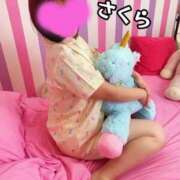 ヒメ日記 2025/04/14 07:01 投稿 さくら☆山梨トップクラス人気嬢 ぽちゃぶらんか甲府店(カサブランカグループ)