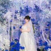 ヒメ日記 2025/04/21 14:31 投稿 さくら☆山梨トップクラス人気嬢 ぽちゃぶらんか甲府店(カサブランカグループ)