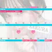 ヒメ日記 2025/05/08 17:47 投稿 さくら☆山梨トップクラス人気嬢 ぽちゃぶらんか甲府店(カサブランカグループ)