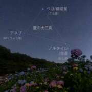 ヒメ日記 2025/07/07 15:05 投稿 さくら☆山梨トップクラス人気嬢 ぽちゃぶらんか甲府店(カサブランカグループ)