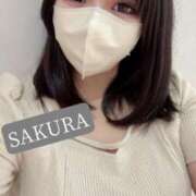 ヒメ日記 2025/09/03 07:00 投稿 さくら☆山梨トップクラス人気嬢 ぽちゃぶらんか甲府店(カサブランカグループ)