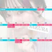 ヒメ日記 2025/09/04 11:02 投稿 さくら☆山梨トップクラス人気嬢 ぽちゃぶらんか甲府店(カサブランカグループ)