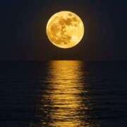 ヒメ日記 2025/10/06 17:46 投稿 さくら☆山梨トップクラス人気嬢 ぽちゃぶらんか甲府店(カサブランカグループ)