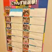 ヒメ日記 2025/10/15 11:31 投稿 さくら☆山梨トップクラス人気嬢 ぽちゃぶらんか甲府店(カサブランカグループ)