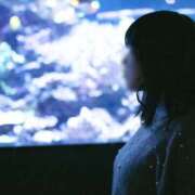 ヒメ日記 2025/10/29 00:30 投稿 さくら☆山梨トップクラス人気嬢 ぽちゃぶらんか甲府店(カサブランカグループ)