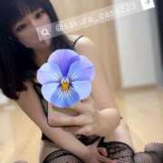 ヒメ日記 2025/11/11 17:16 投稿 さくら☆山梨トップクラス人気嬢 ぽちゃぶらんか甲府店(カサブランカグループ)