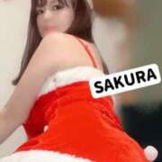 ヒメ日記 2025/12/26 06:31 投稿 さくら☆山梨トップクラス人気嬢 ぽちゃぶらんか甲府店(カサブランカグループ)