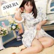 ヒメ日記 2026/02/02 11:37 投稿 さくら☆山梨トップクラス人気嬢 ぽちゃぶらんか甲府店(カサブランカグループ)