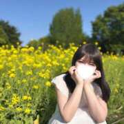 ヒメ日記 2026/06/26 14:46 投稿 さくら☆山梨トップクラス人気嬢 ぽちゃぶらんか甲府店(カサブランカグループ)