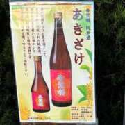 ヒメ日記 2026/10/21 22:48 投稿 さくら☆山梨トップクラス人気嬢 ぽちゃぶらんか甲府店(カサブランカグループ)
