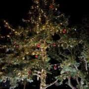 ヒメ日記 2024/12/19 01:06 投稿 るあ 桃色クリスタル