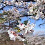 ヒメ日記 2025/04/18 14:17 投稿 みやび ミスミセス