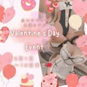 ヒメ日記 2025/02/16 08:55 投稿 三浦 品川やすらぎ