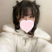 ヒメ日記 2024/12/30 16:12 投稿 りの 横浜コスプレデビュー（シンデレラグループ）