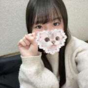 ヒメ日記 2025/02/27 17:35 投稿 りの 横浜コスプレデビュー（シンデレラグループ）